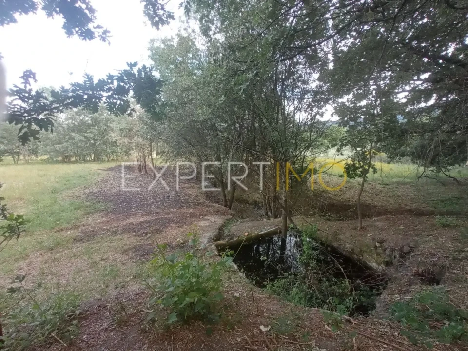 Quinta T2 para Venda em Gonçalo Foto 5