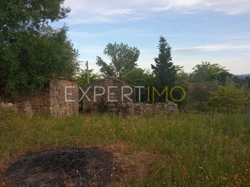 Quinta T2 para Venda em Gonçalo Foto 8