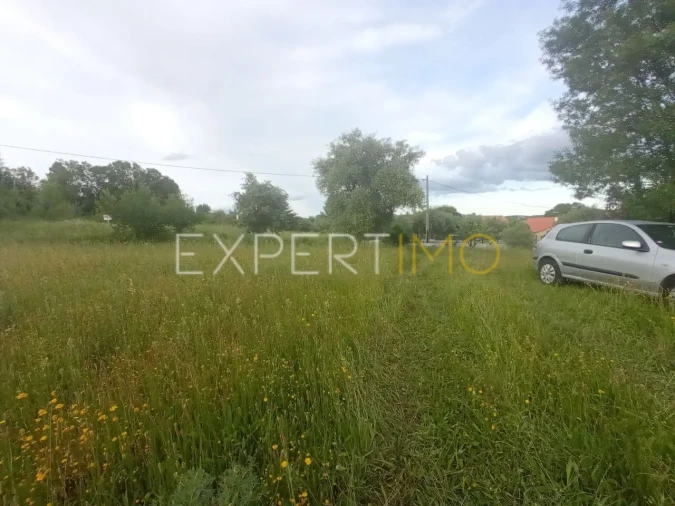 Quinta T2 para Venda em Gonçalo Foto 10