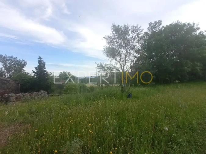 Quinta T2 para Venda em Gonçalo Foto 13