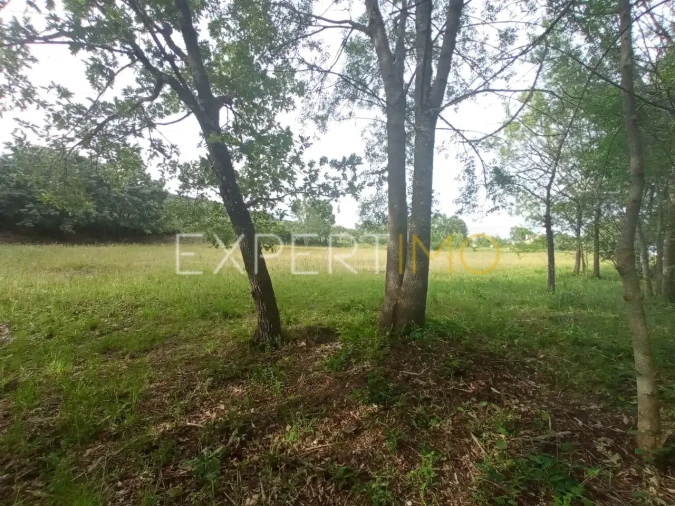 Quinta T2 para Venda em Gonçalo Foto 15