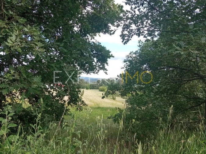 Quinta T2 para Venda em Gonçalo Foto 16