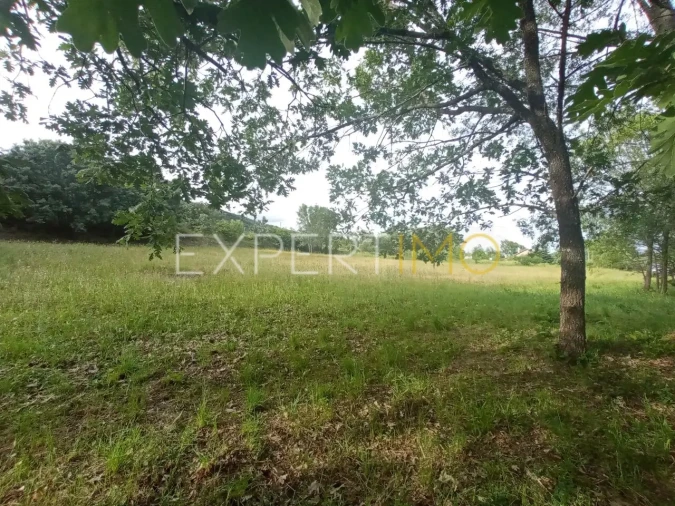 Quinta T2 para Venda em Gonçalo Foto 17