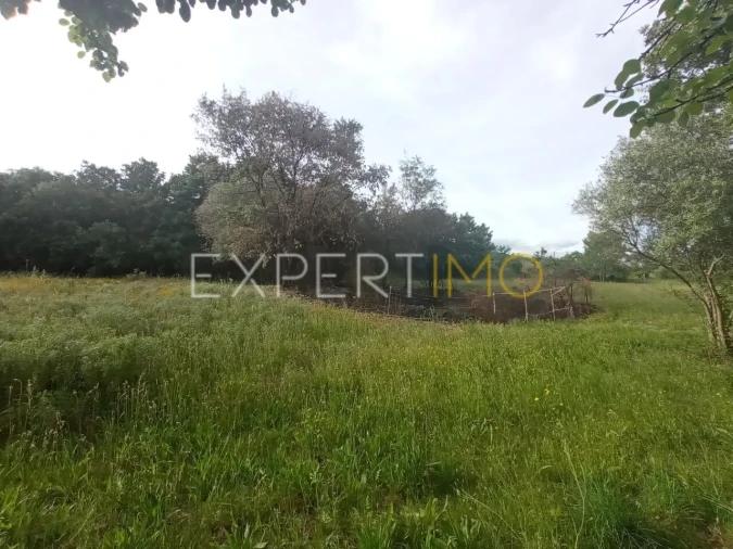 Quinta T2 para Venda em Gonçalo Foto 18