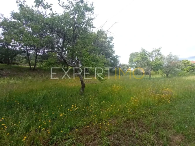 Quinta T2 para Venda em Gonçalo Foto 19