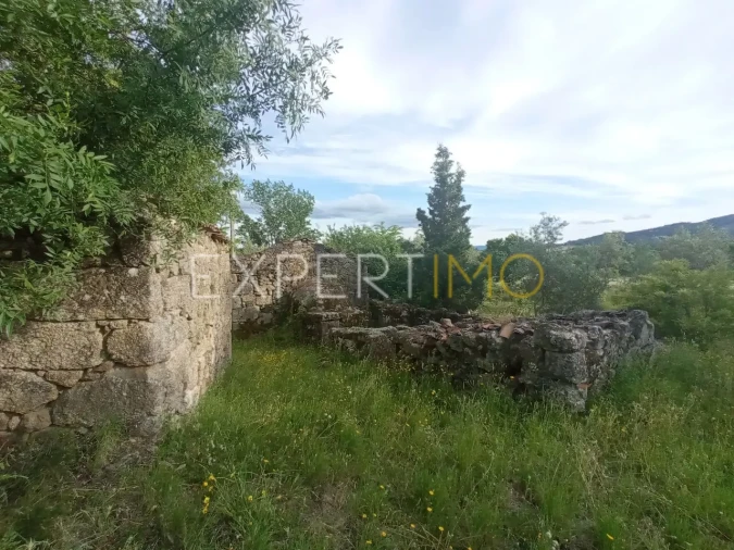 Quinta T2 para Venda em Gonçalo Foto 2