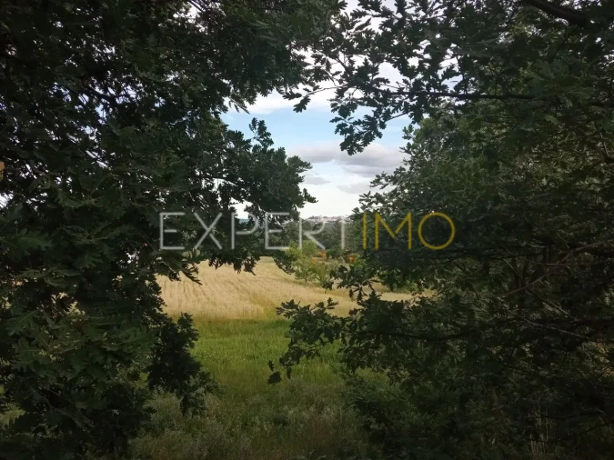 Quinta T2 para Venda em Gonçalo Foto 21