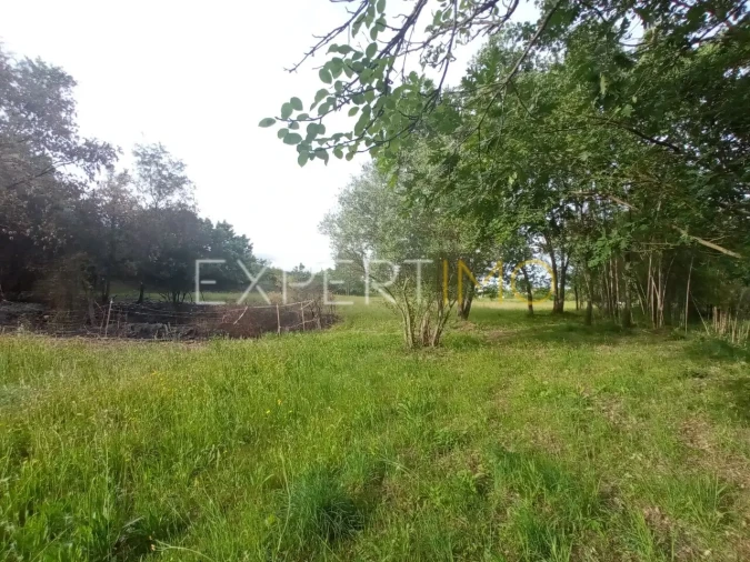 Quinta T2 para Venda em Gonçalo Foto 22