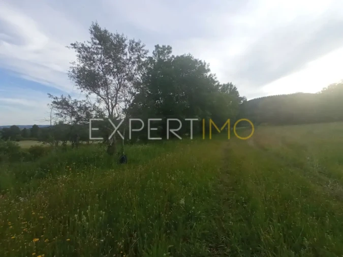 Quinta T2 para Venda em Gonçalo Foto 23