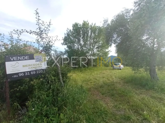 Quinta T2 para Venda em Gonçalo Foto 9