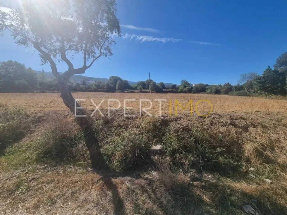 Quinta T4 para Venda em Gouveia (São Pedro e São Julião) Foto 11