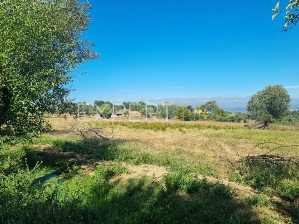 Quinta T4 para Venda em Gouveia (São Pedro e São Julião) Foto 25