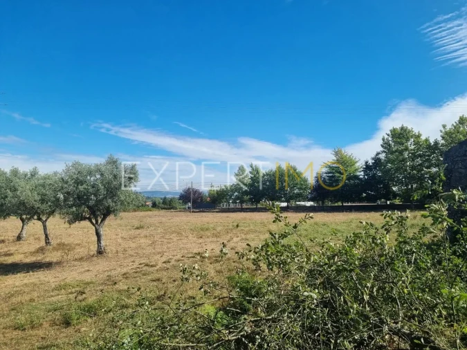 Quinta T4 para Venda em Gouveia (São Pedro e São Julião) Foto 22