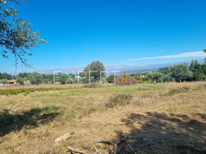 Quinta T4 para Venda em Gouveia (São Pedro e São Julião) Foto 24