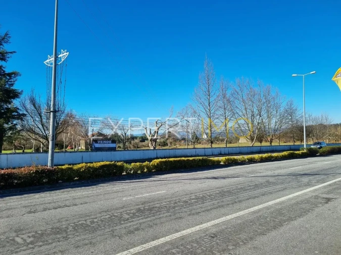 Quinta T4 para Venda em Gouveia (São Pedro e São Julião) Foto 3