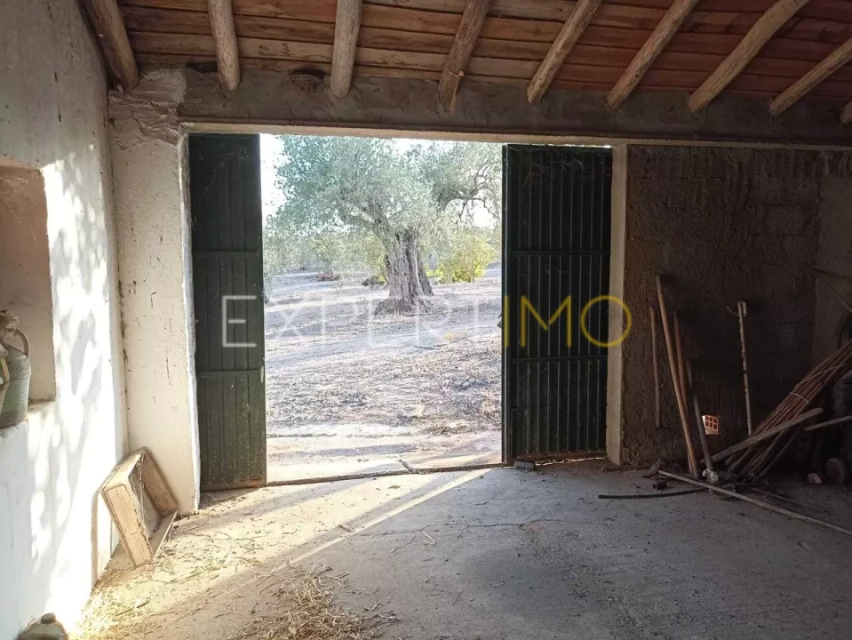 Terreno para Venda em Vila Nova de São Bento e Vale de Vargo Foto 23