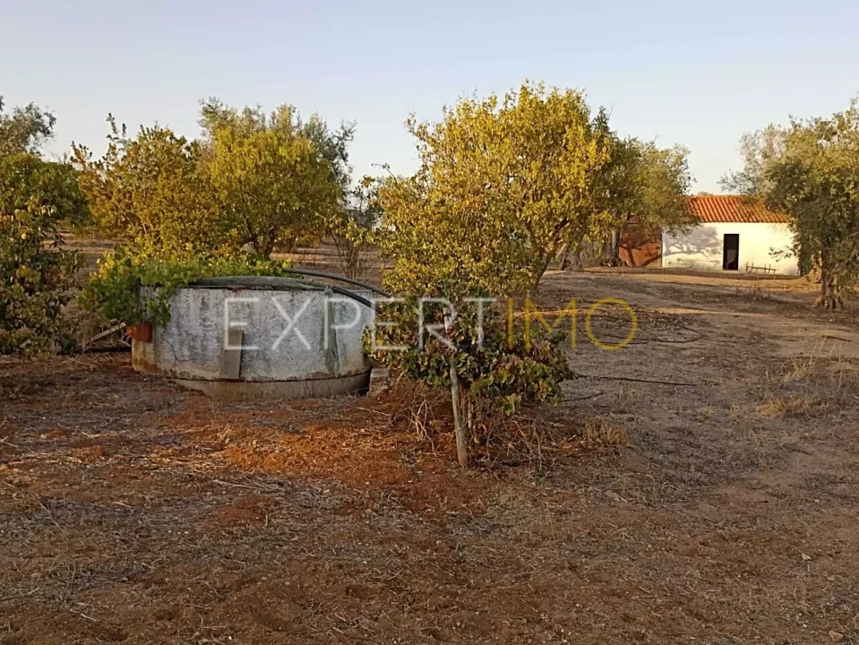 Terreno para Venda em Vila Nova de São Bento e Vale de Vargo Foto 25