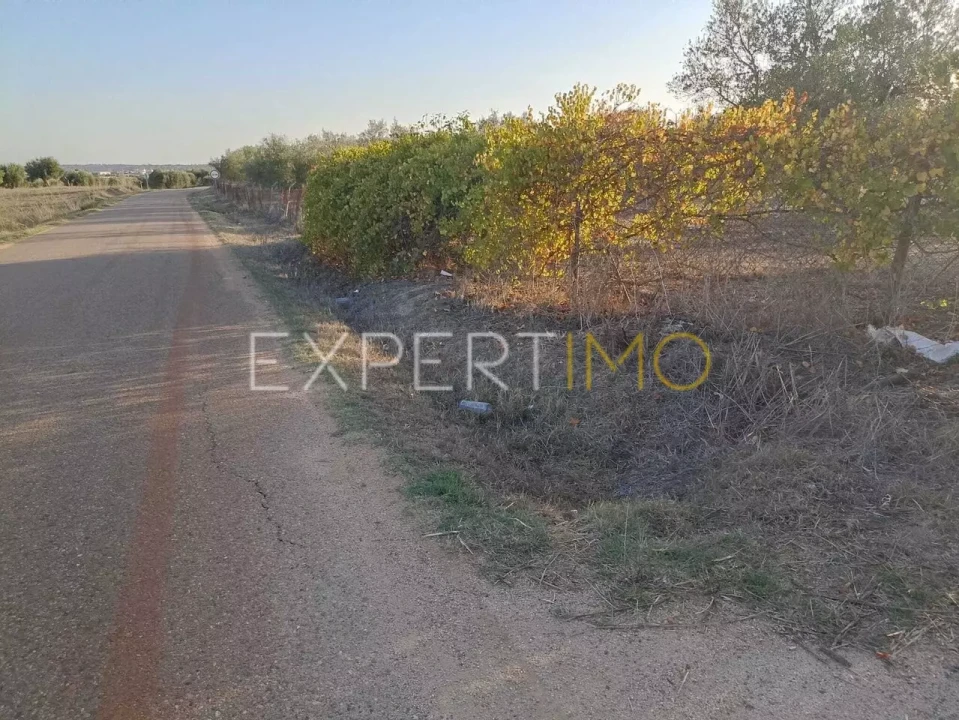 Terreno para Venda em Vila Nova de São Bento e Vale de Vargo Foto 3