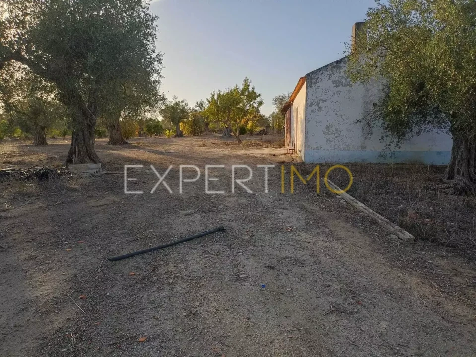 Terreno para Venda em Vila Nova de São Bento e Vale de Vargo Foto 6