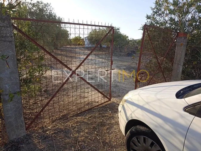 Terreno para Venda em Vila Nova de São Bento e Vale de Vargo