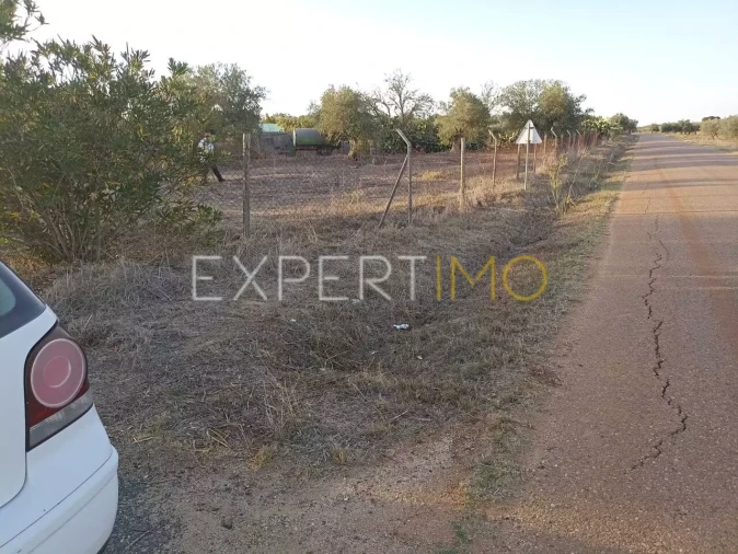 Terreno para Venda em Vila Nova de São Bento e Vale de Vargo Foto 2