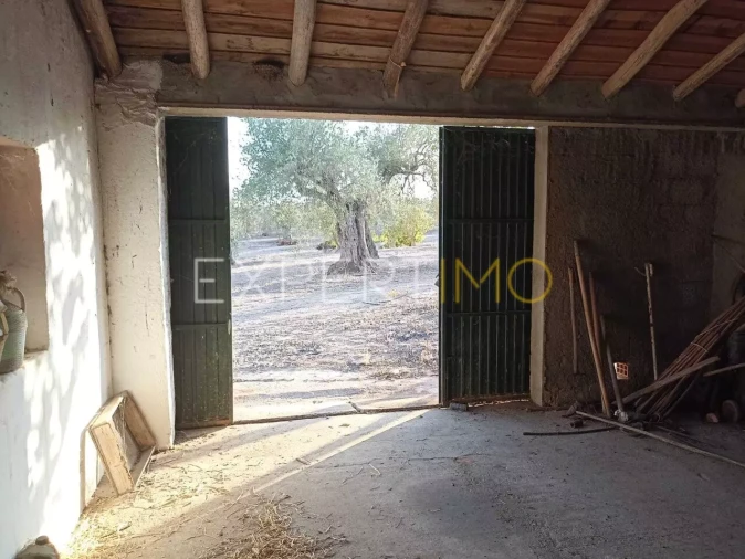 Terreno para Venda em Vila Nova de São Bento e Vale de Vargo Foto 23