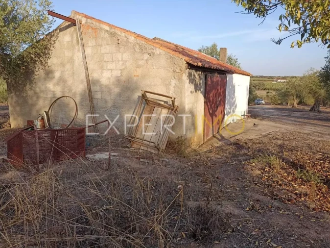 Terreno para Venda em Vila Nova de São Bento e Vale de Vargo Foto 24