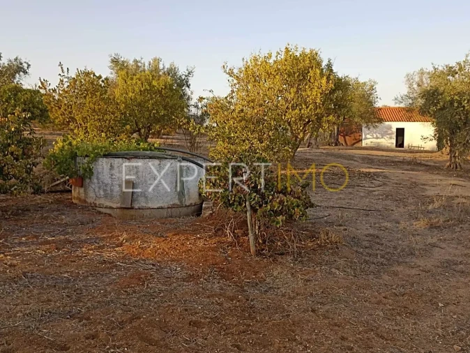 Terreno para Venda em Vila Nova de São Bento e Vale de Vargo Foto 25