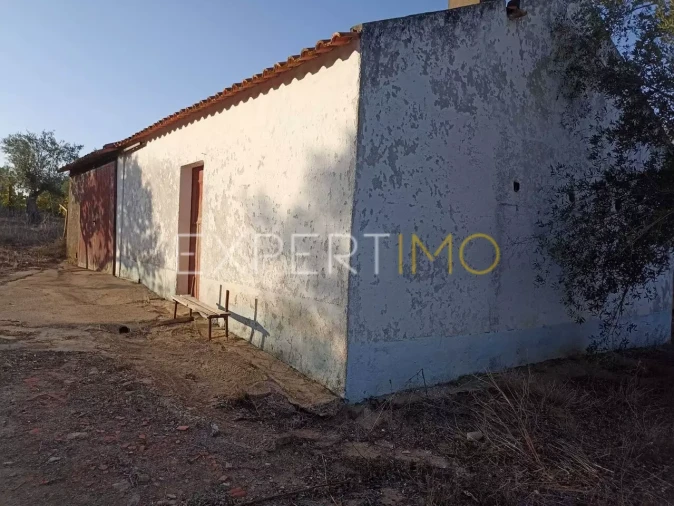 Terreno para Venda em Vila Nova de São Bento e Vale de Vargo Foto 7