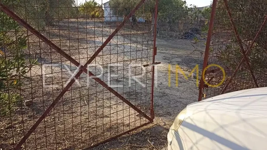 Terreno para Venda em Vila Nova de São Bento e Vale de Vargo