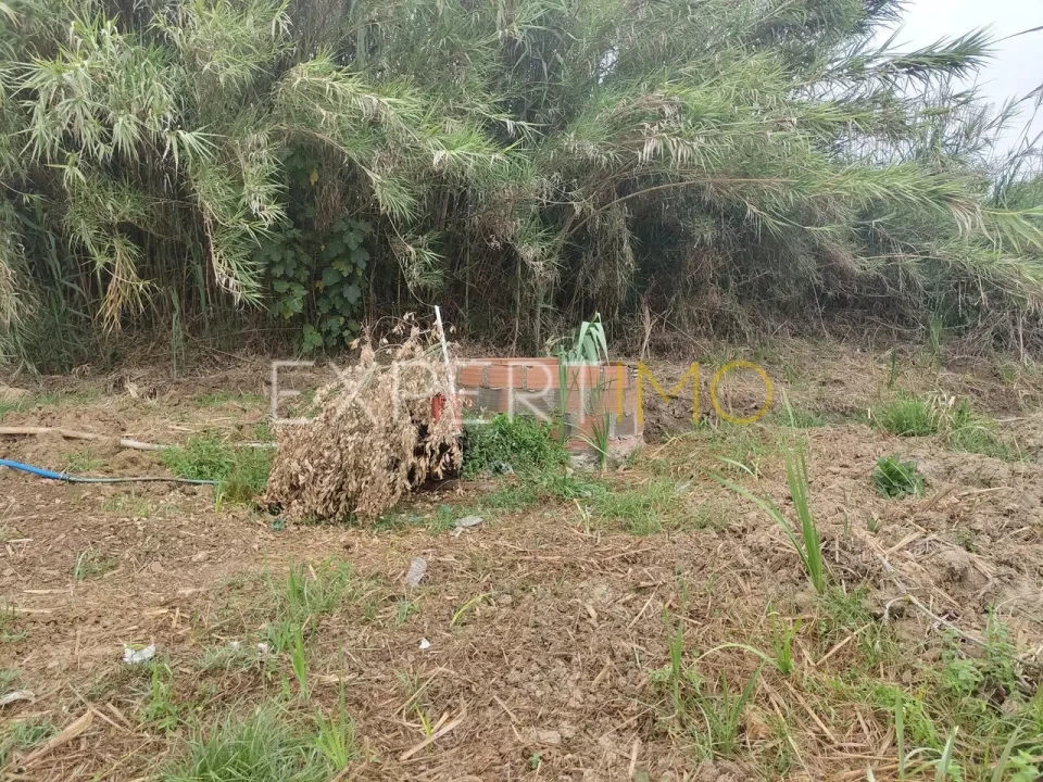 Terreno para Venda em Roliça Foto 15