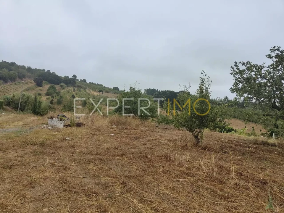 Terreno para Venda em Roliça Foto 4