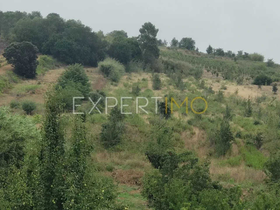 Terreno para Venda em Roliça Foto 7