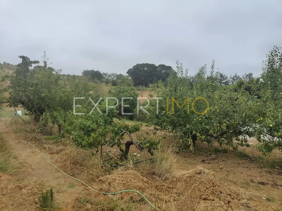 Terreno para Venda em Roliça Foto 8