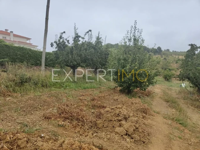 Terreno para Venda em Roliça Foto 10
