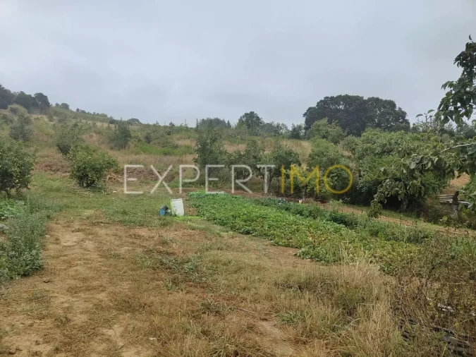 Terreno para Venda em Roliça Foto 11