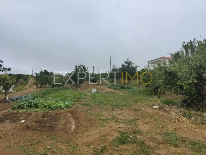 Terreno para Venda em Roliça Foto 14