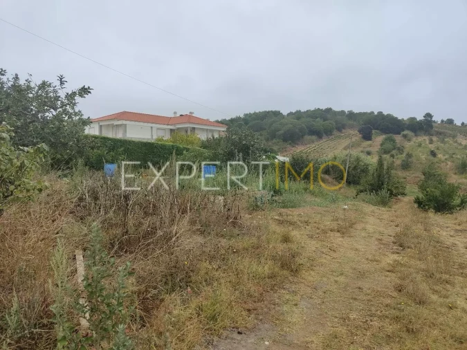 Terreno para Venda em Roliça Foto 3