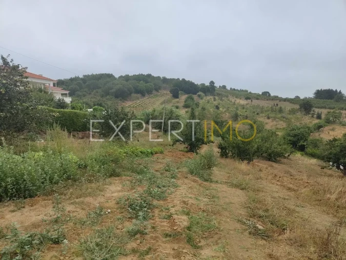 Terreno para Venda em Roliça Foto 5