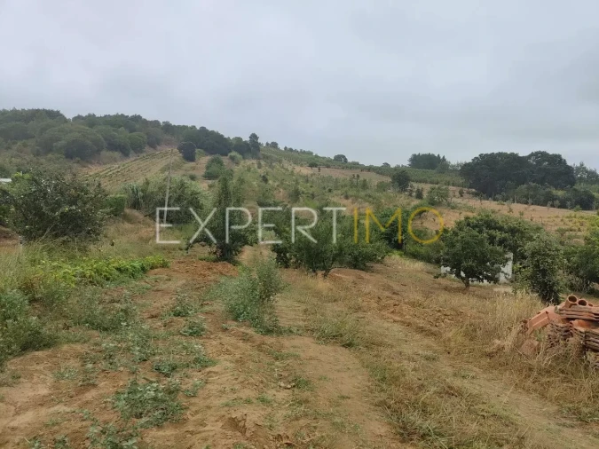 Terreno para Venda em Roliça Foto 6