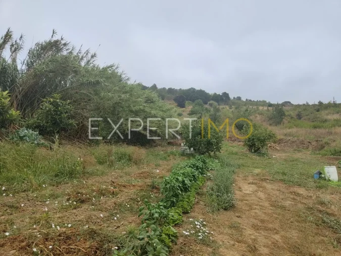 Terreno para Venda em Roliça Foto 9