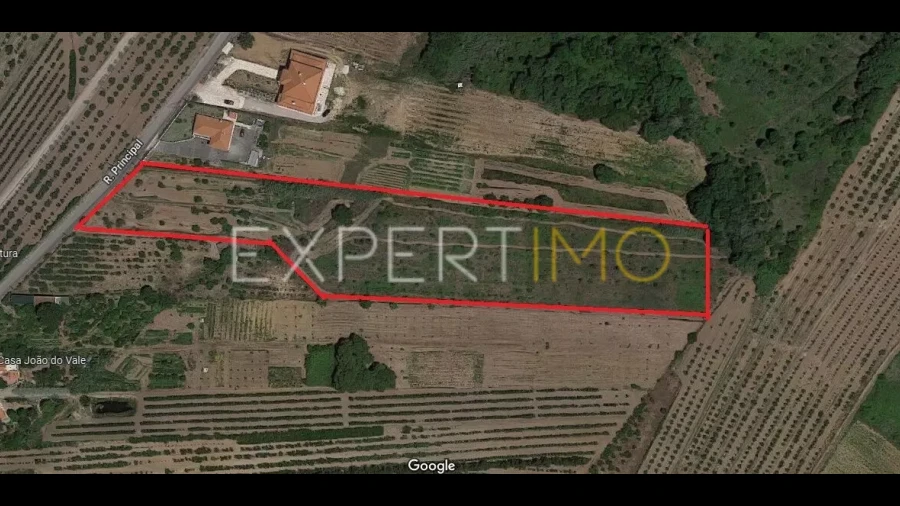 Terreno para Venda em Roliça