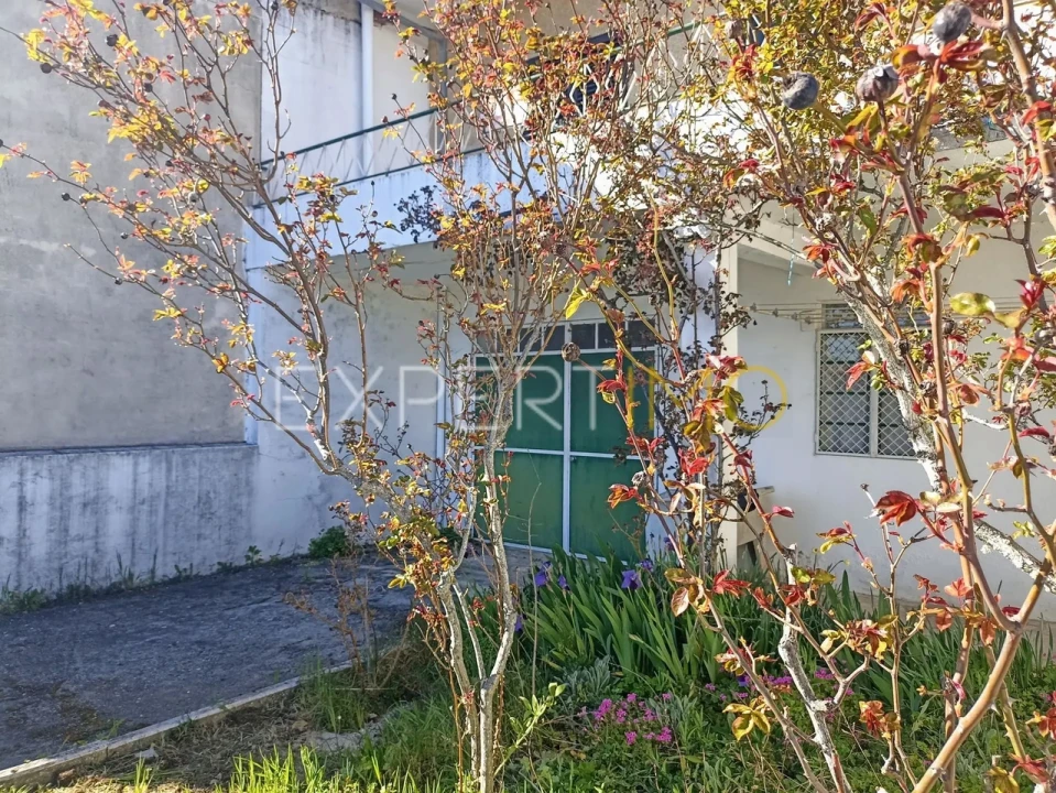 Moradia T3 para Venda em Pega Foto 40