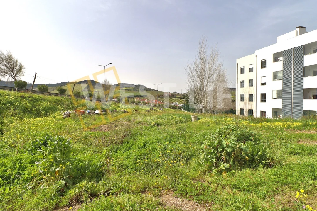 Terreno para Venda em Santa Maria, São Pedro e Matacães Foto 2