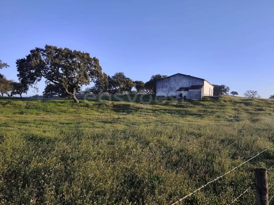 Quinta T2 para Venda em Messejana Foto 1