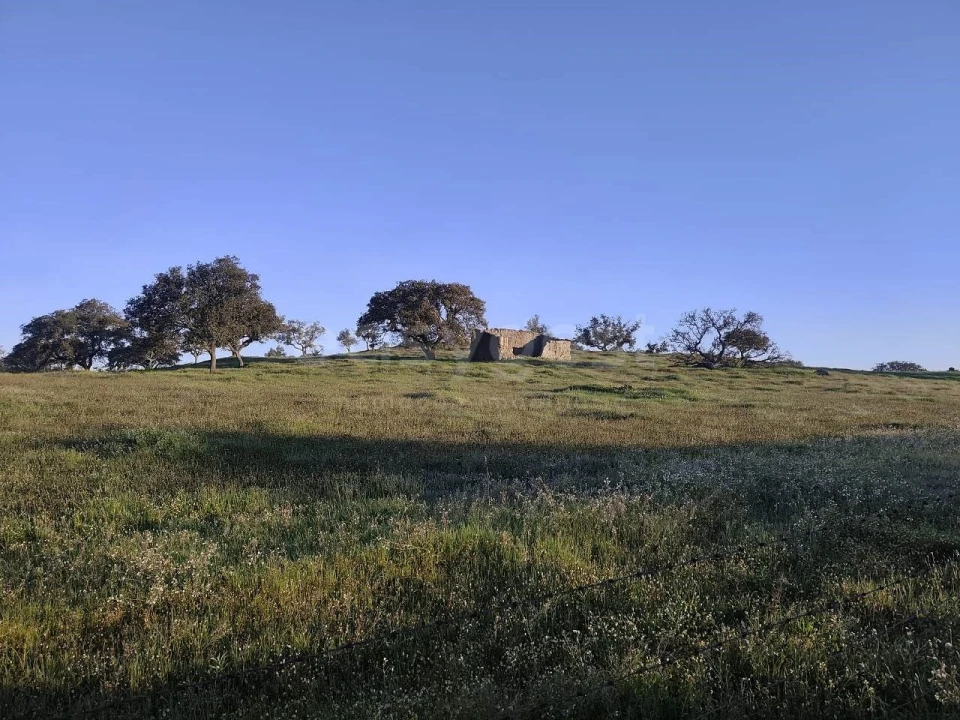 Quinta T2 para Venda em Messejana Foto 3