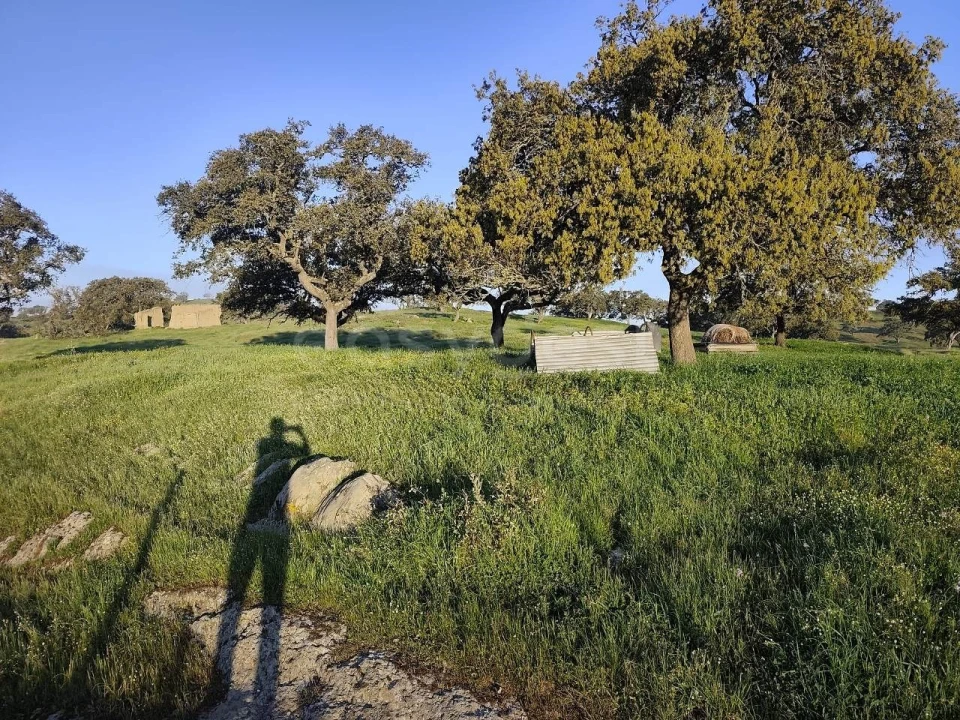 Quinta T2 para Venda em Messejana Foto 4