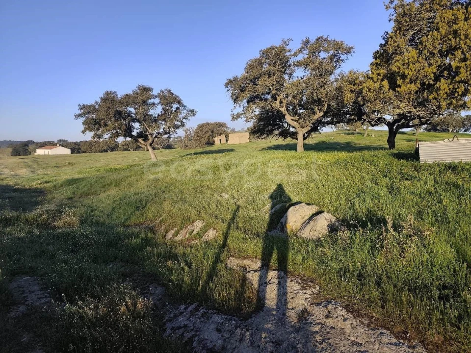 Quinta T2 para Venda em Messejana Foto 5