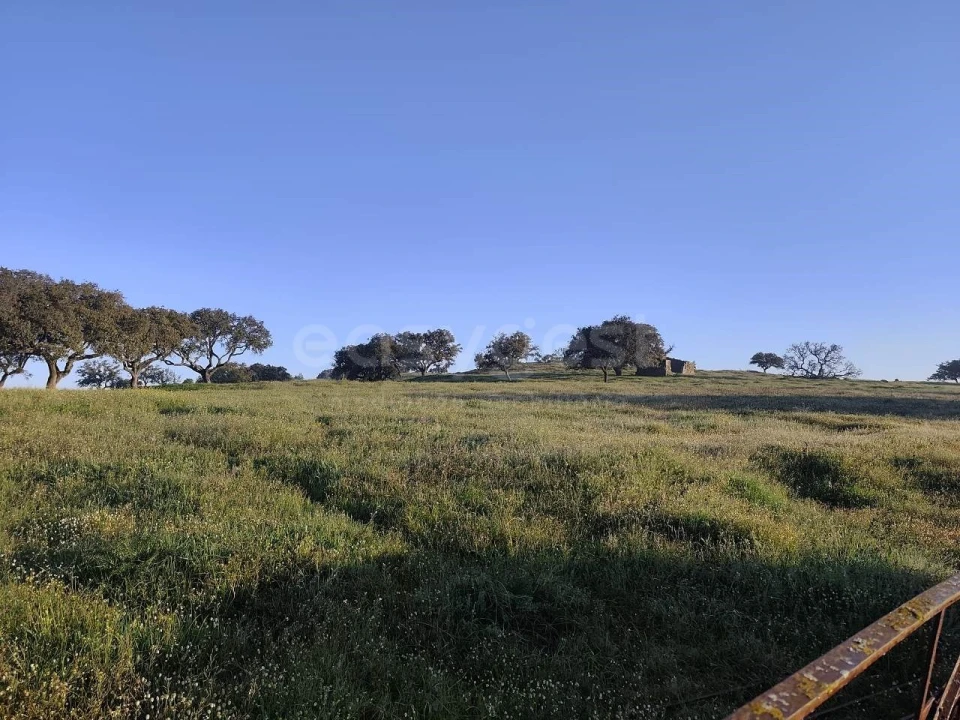 Quinta T2 para Venda em Messejana Foto 8