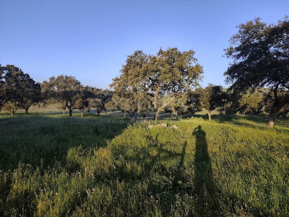 Quinta T2 para Venda em Messejana Foto 14